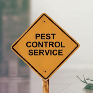 Pest Control